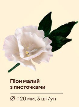 Піон малий з листочками ТМ "Добрик" 11-0134 фото