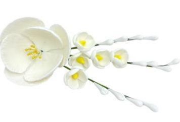 Кондитерское сахарное украшение "Магнолия с фрезиями" белое 13-0303 фото